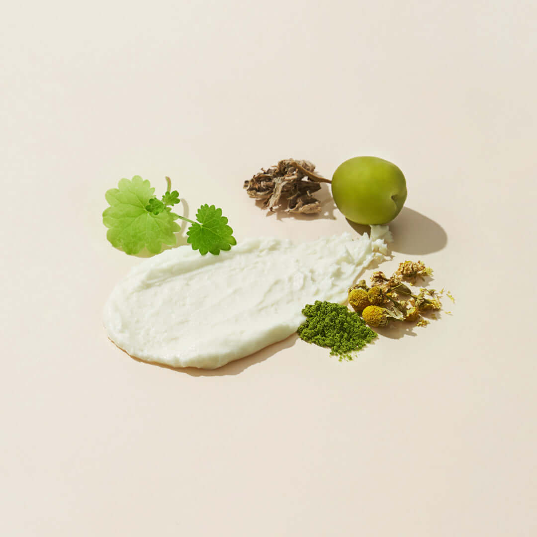 Ingredients of 107 Moisture Balm Mild Sun Stick SPF50+PA++++ including leaves and green plum on cream background