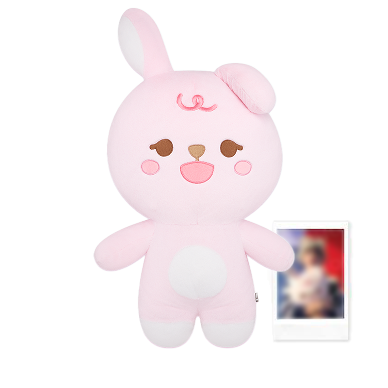 DAY6 Official Giant Plushie (Wonpil)