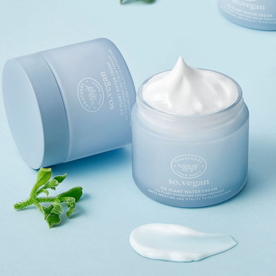 ソーナチュラル Ice Plant Water クリーム 70ml
