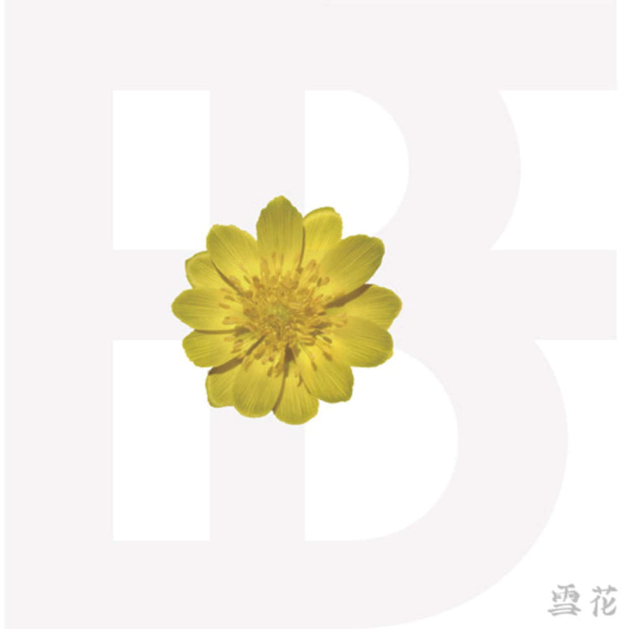 Bf - K-POPアルバム