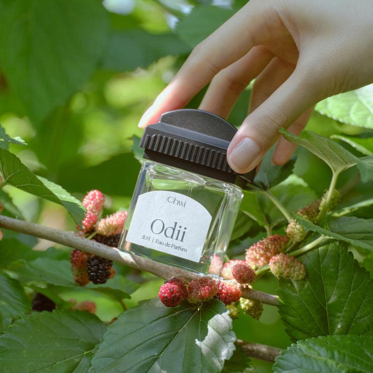 Hand holding CHWI (CHI) Odii Parfume 50ml bottle in a natural setting with berries and leaves