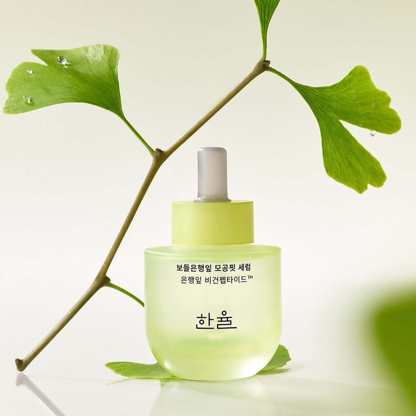 HANYUL Bodunhaengip Pore Fir Serum in a green bottle with natural leaf decor, ideal for skincare enthusiasts.