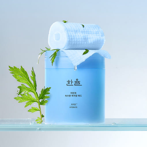 HANYUL Young Artemisia Extract Moisturizing Pad 60 Sheets with open pad and green leaves on container