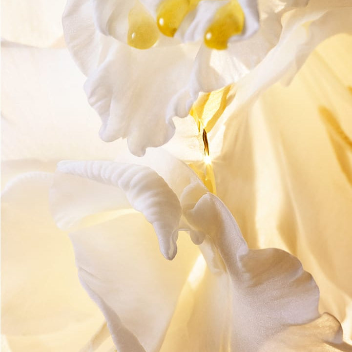 HERA Signia Illuminating Serum 30ml