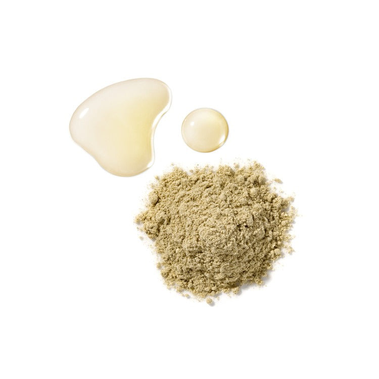 HOLITUAL Clean Therapy Powder Mask