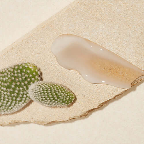 HUXLEY Sleep Mask Good Night texture on stone with cactus