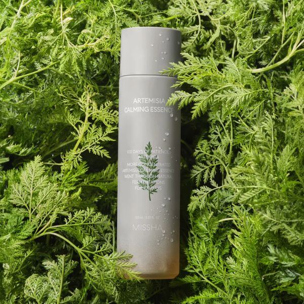 MISSHA Artemisia Soothing Essence 150ml bottle surrounded by fresh green artemisia leaves