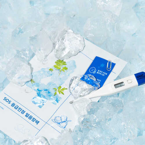 NUMBUZIN No.4 Sos Emergency Calming Ice Packs 10 sheets