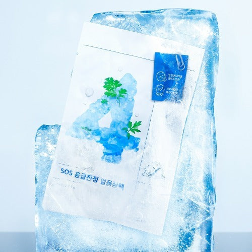 NUMBUZIN No.4 Sos Emergency Calming Ice Packs 10 sheets
