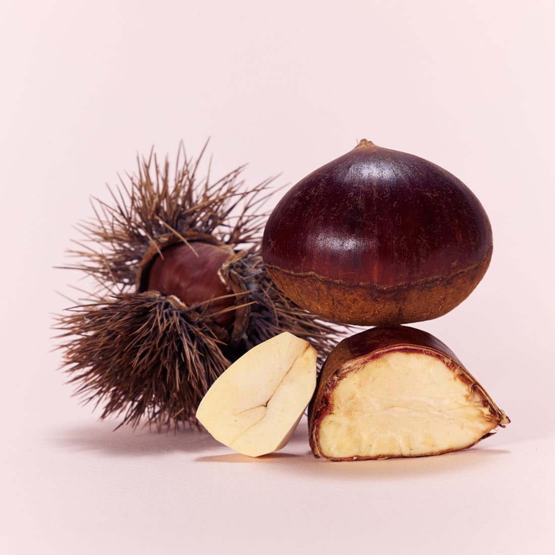 OSULLOC Marron Cream Black Tea 10 p