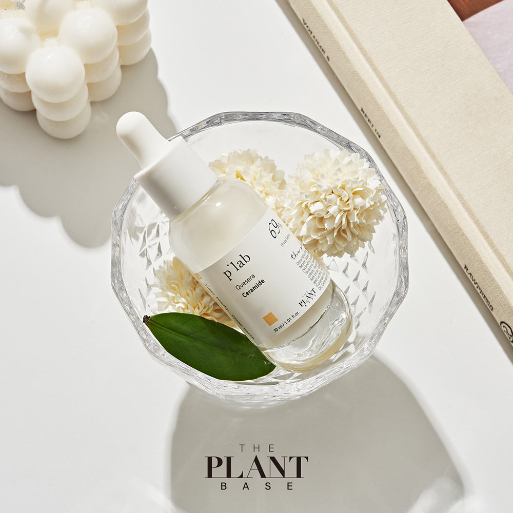 THE PLANT BASE Quesera Ceramide Ampoule 30ml | Kool Seoul