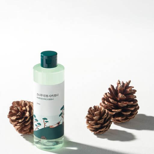 ROUND LAB Pine Calming Cica Toner 250ml bottle with pine cones, soothing skincare product.