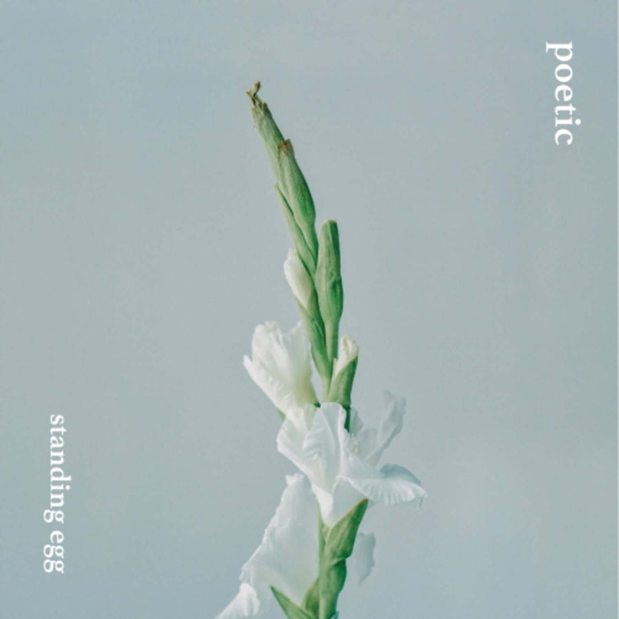 Standing Egg - Poetic - K-POPアルバム