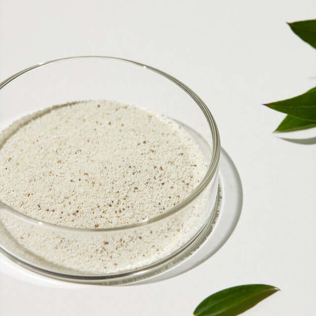 SUNGBOON EDITOR Green Tomato Deep Pore Clean Enzyme Powder Wash 50g in glass dish with green leaves, focus keyword for SEO.