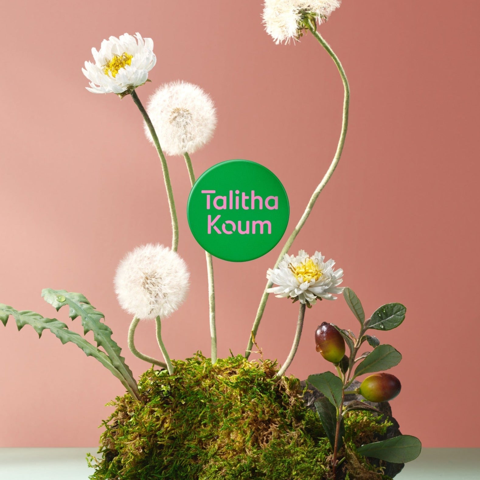 TALITHA KOUM Lipcure Balm 6g | Kool Seoul