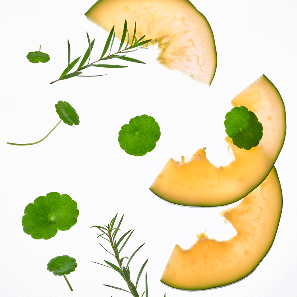 Ingredients of TOCOBO Cica Calming Powder Wash including Cica leaves and melon slices.