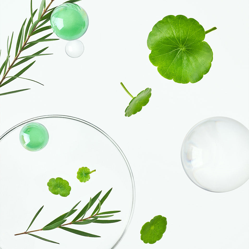 TOCOBO Cica Calming Serum disponible sur Ma petite Coree, ton Eshop 100% K-beauty en direct de Seoul