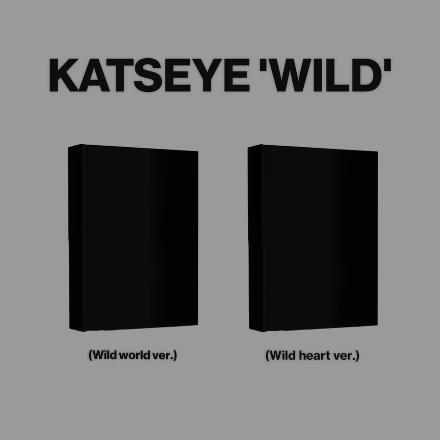 KATSEYE - WILD (2枚セット) - KPOPアルバム