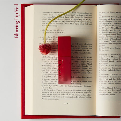 DINTO Blurring Lip Veil on open book with flower accent