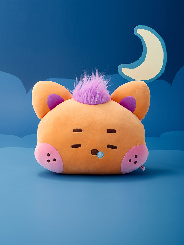 NCT WISH wishnini house Medium Plush Cushion - image 2