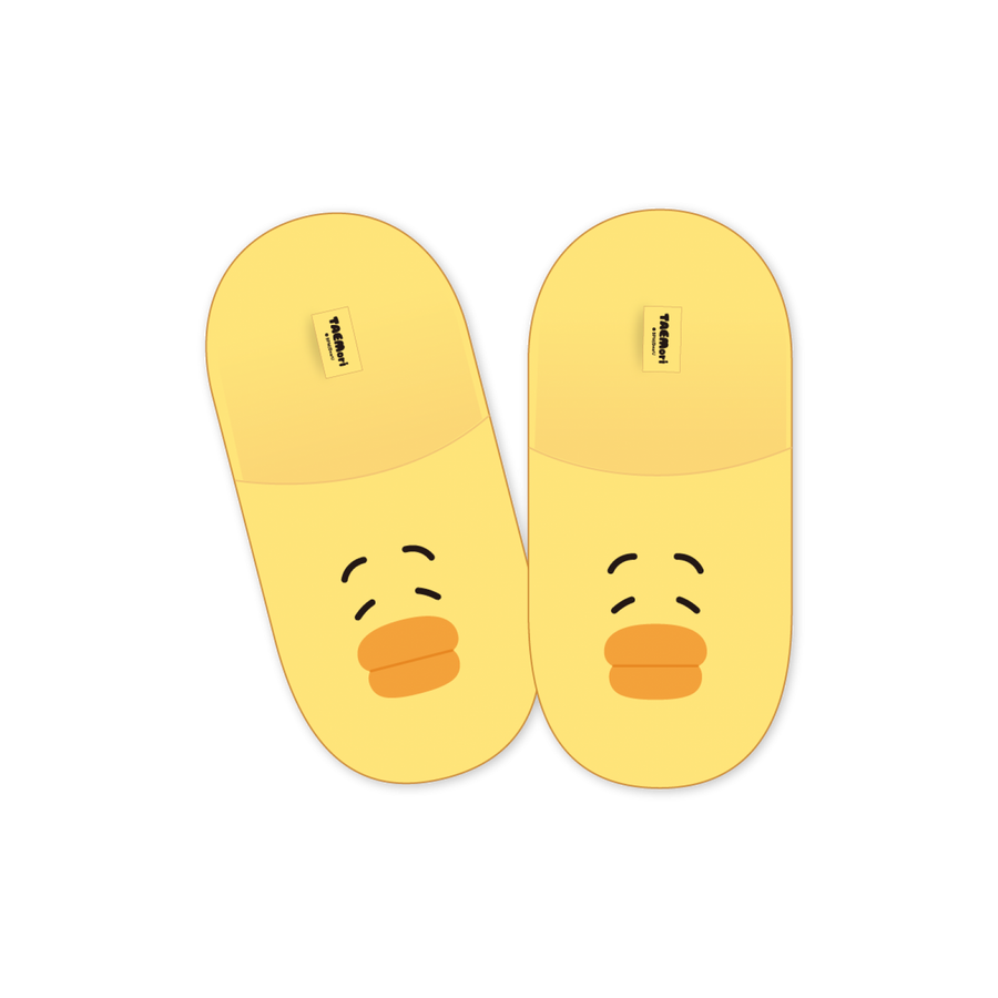 TAEMIN - Room Slippers - 2026 TAEMori POP-UP STORE Official MD