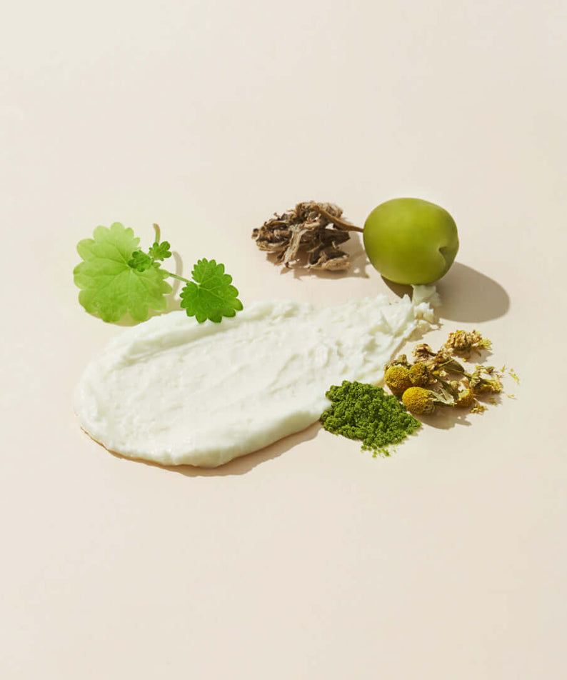 Ingredients of 107 Moisture Balm Mild Sun Stick SPF50+PA++++ including leaves and green plum on cream background