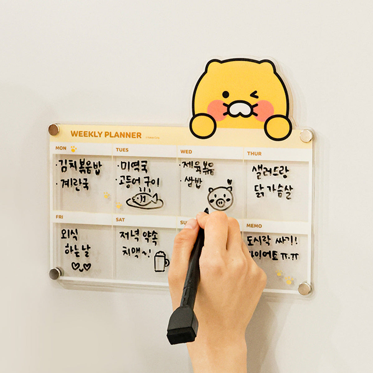 Magnet Set - Korean kawaii Kakao Friends | Koolseoul