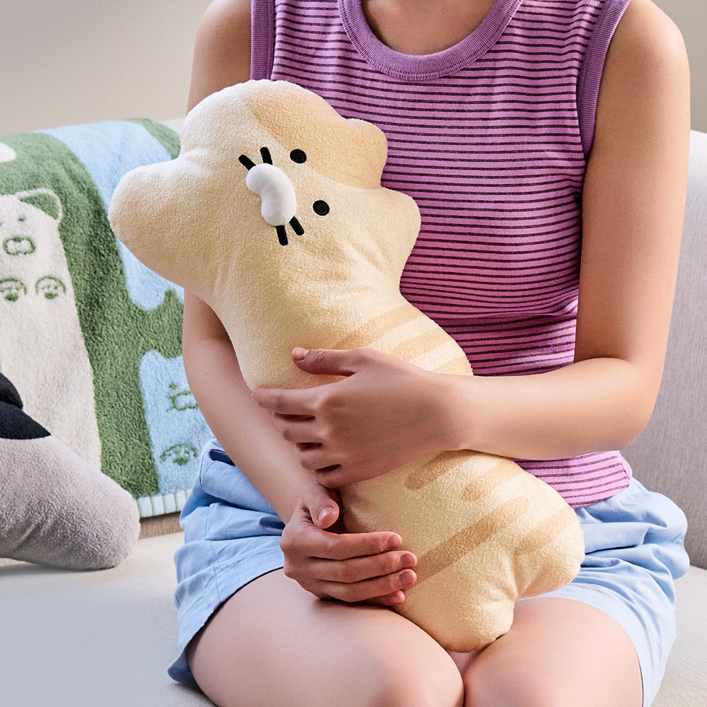 FRIENDAY Flat Cushion Chunsik - Korean kawaii Kakao Friends | Koolseoul