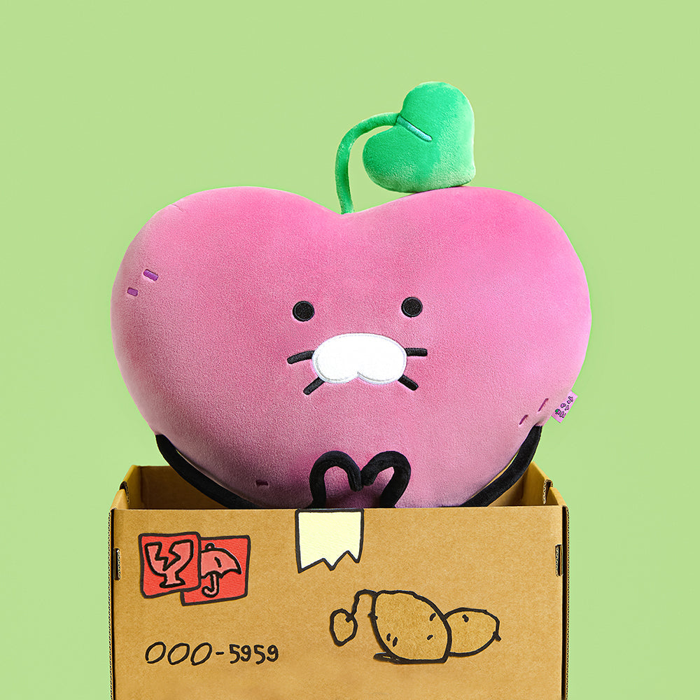 Cushion - Authentic Kakao Friends from Korea | Koolseoul