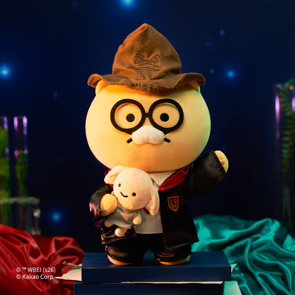 Plush Harry Potter X Friends Wizard Chunsik - Kakao Friends - image 1