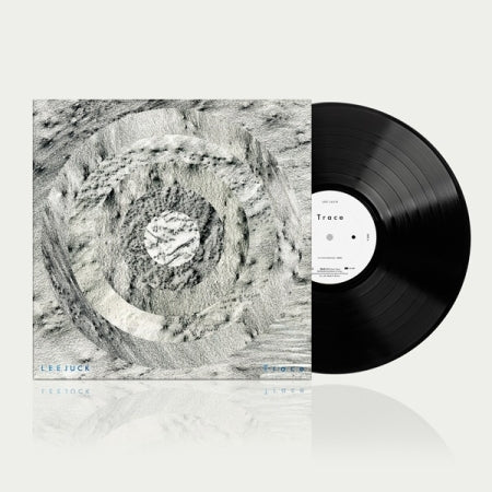 이적 LP 정규 6집 Trace [180g LP] — Kim Jin Pyo