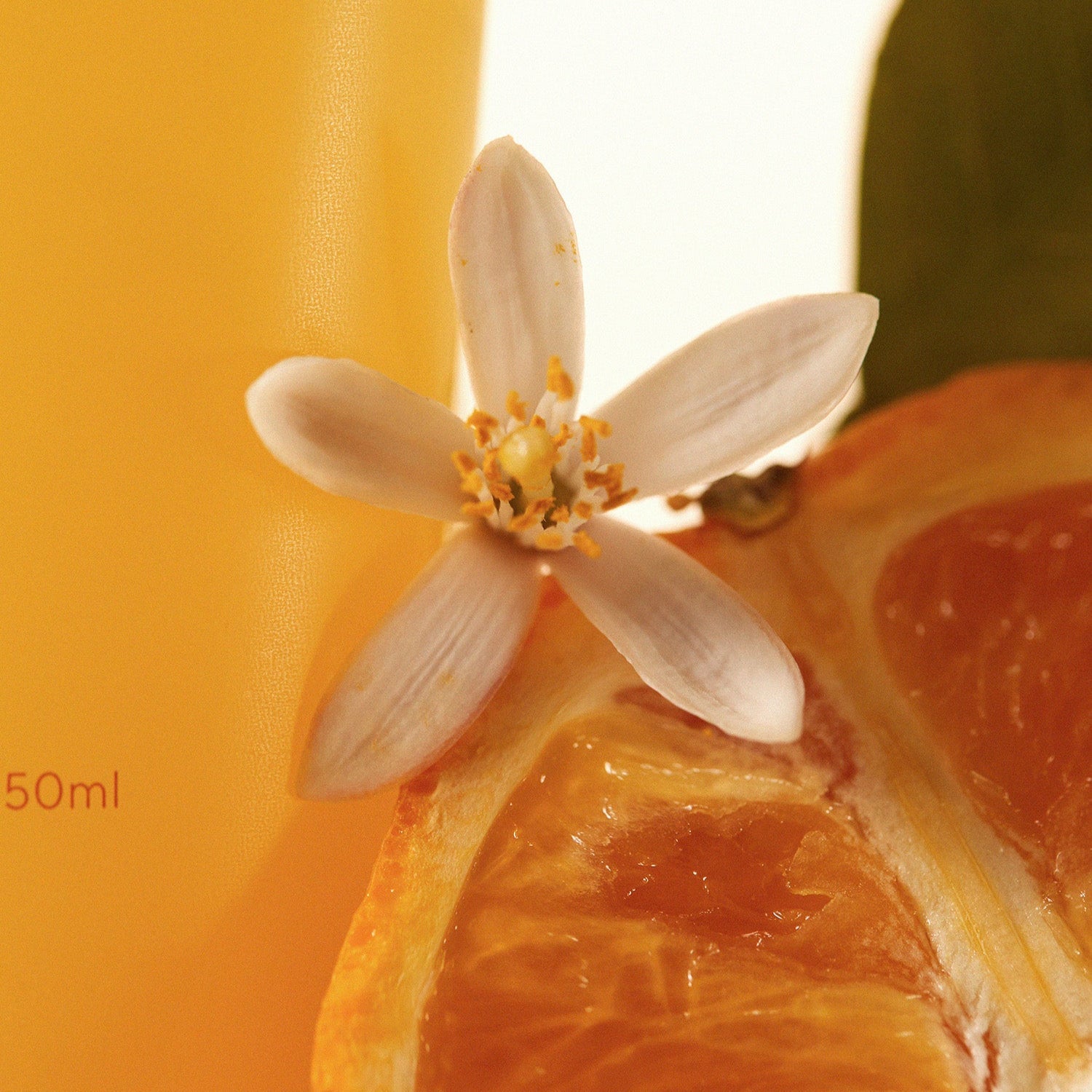 AROMATICA Glow Vita Oil-in-Gel Cleanser Orange & Neroli 150ML with an orange slice and flower display