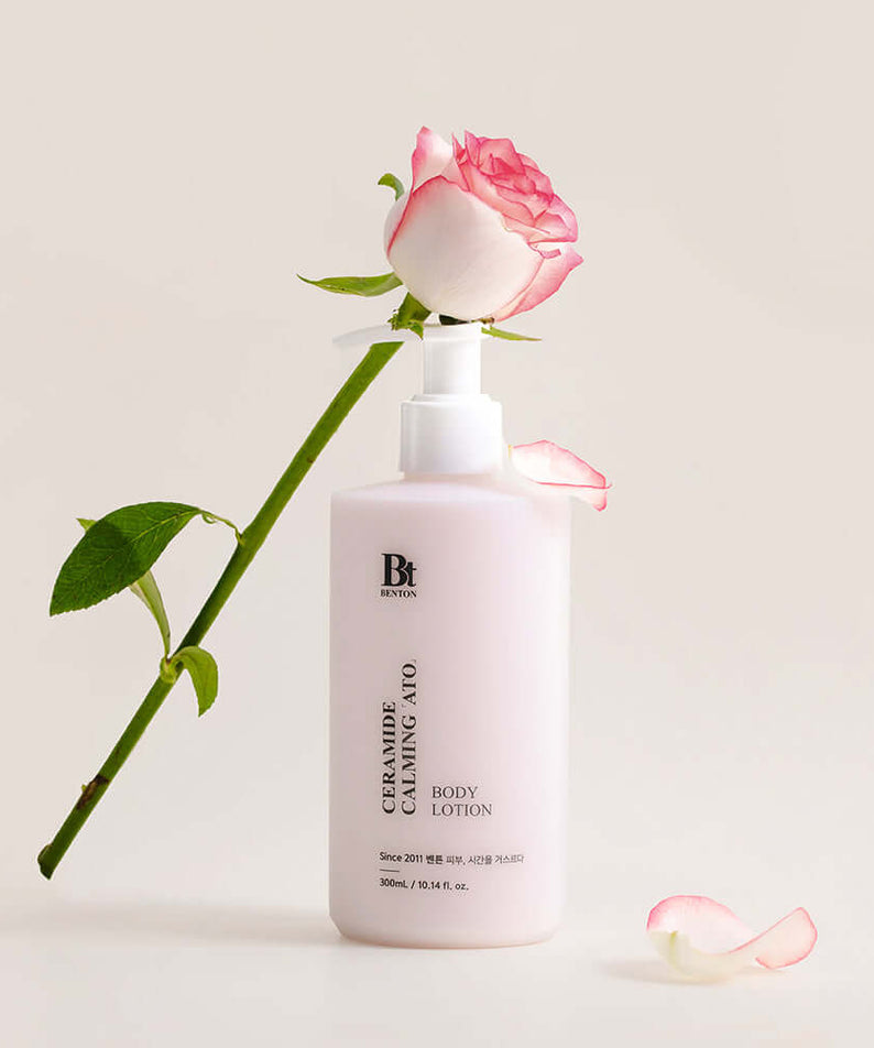 BENTON Ceramide Calming Ato Body Lotion 300ml beside a pink rose on a white background.