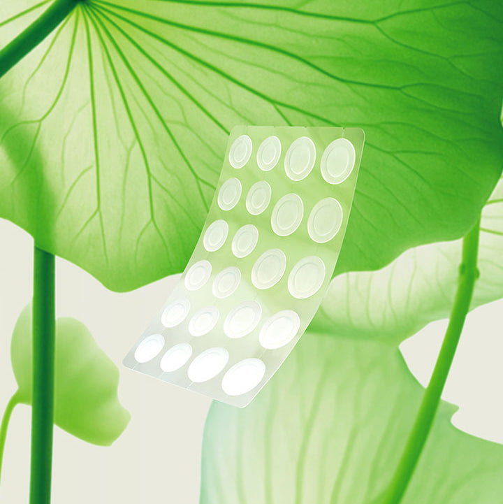 Beplain Cicaterol Spot Patch 110 Sheets