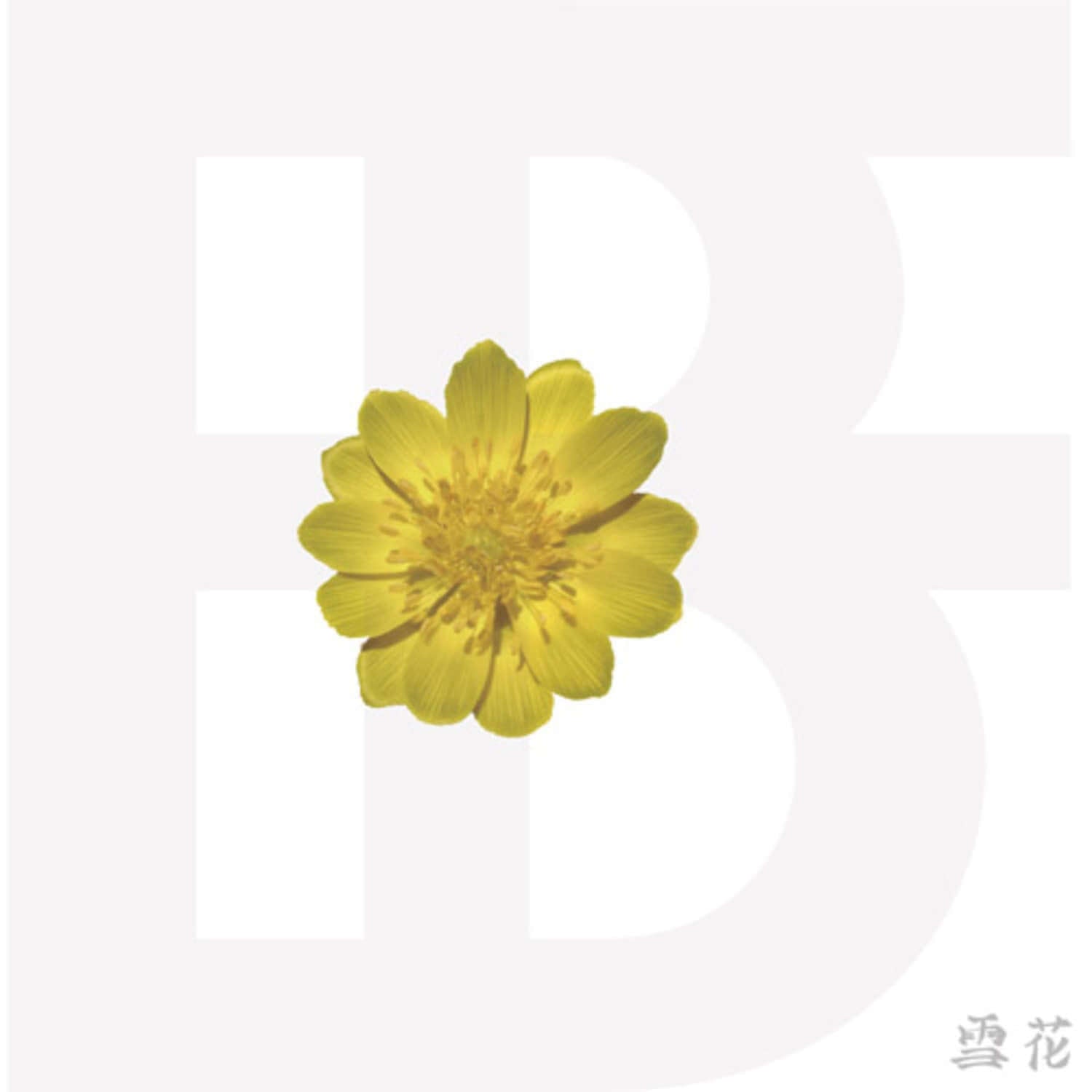 BF - Kpop Album | Kool Seoul - Buy Kpop Albums Online