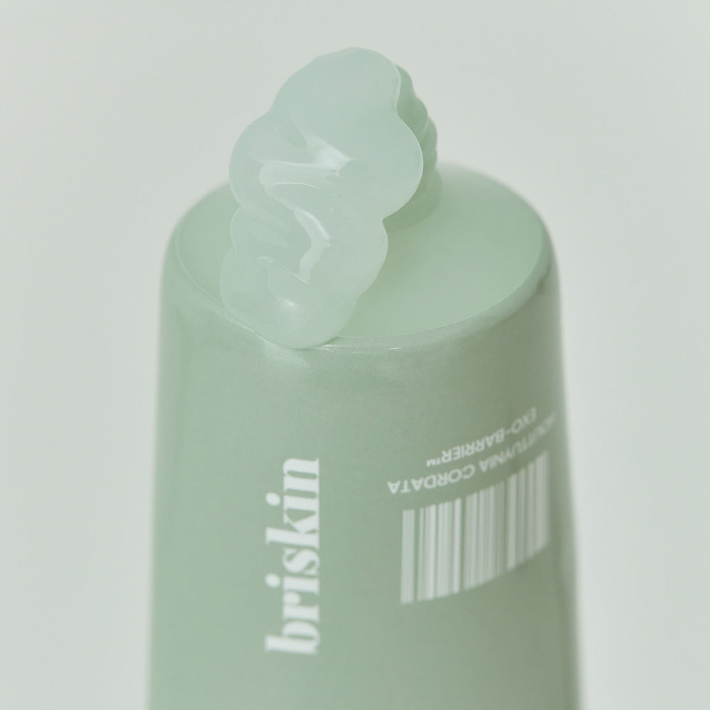 BRISKIN Houttuynia Cordata Exo-Bssrrier Skinbooster Cream 80ml
