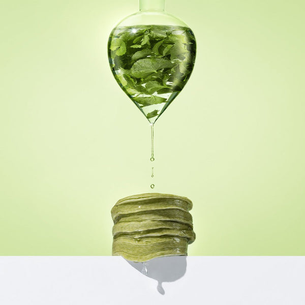 CENTELLIAN 24 Madeca Real Green Pore Pad 170g (60 sheets) with natural green ingredients and liquid infusion.