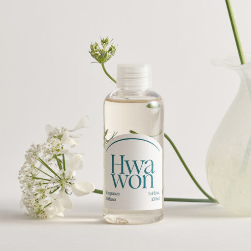 CHI Diffuser 100ml | Kool Seoul