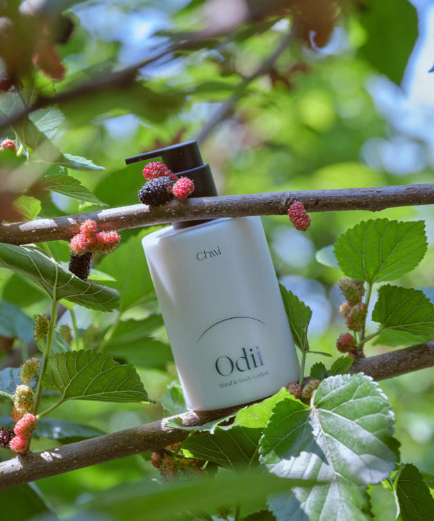 CHWI (CHI) Odii Hand & Body Lotion 300ml bottle surrounded by lush green foliage and berries for natural skincare promotion.