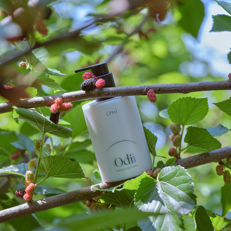 CHWI (CHI) Odii Hand & Body Lotion 300ml bottle surrounded by lush green foliage and berries for natural skincare promotion.