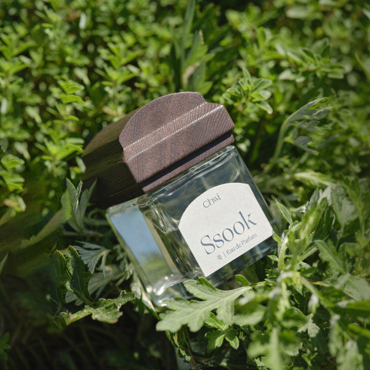 CHWI (CHI) Ssook Parfume 50ml bottle nestled in greenery, highlighting the product's natural essence and packaging.