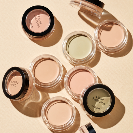 THE SAEM  Cover Perfection Pot Concealer 6g