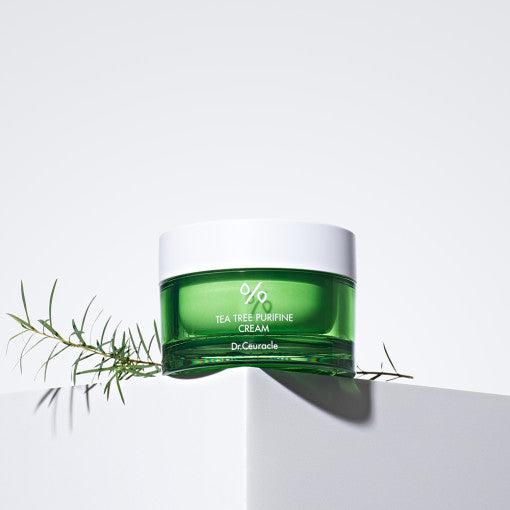 DR.CEURACLE Tea Tree Purifine Cream 50g jar on white surface with green plant accent