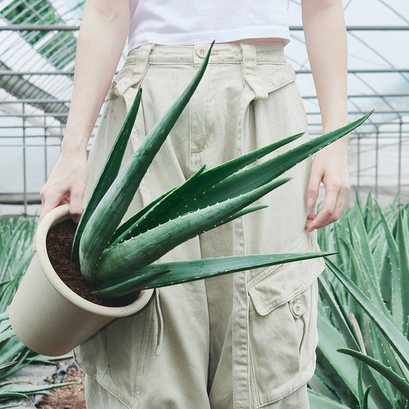 GLOW Aloe Barrier Support Cream 50ml