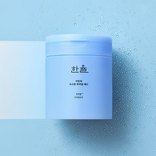 HANYUL Young Artemisia Extract Moisturizing Pad 60 Sheets in blue packaging on wet surface