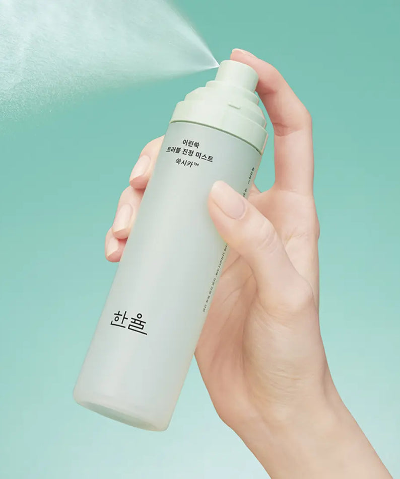 Hand holding HANYUL Young Artemisia Trouble Mist 120ml against a green background