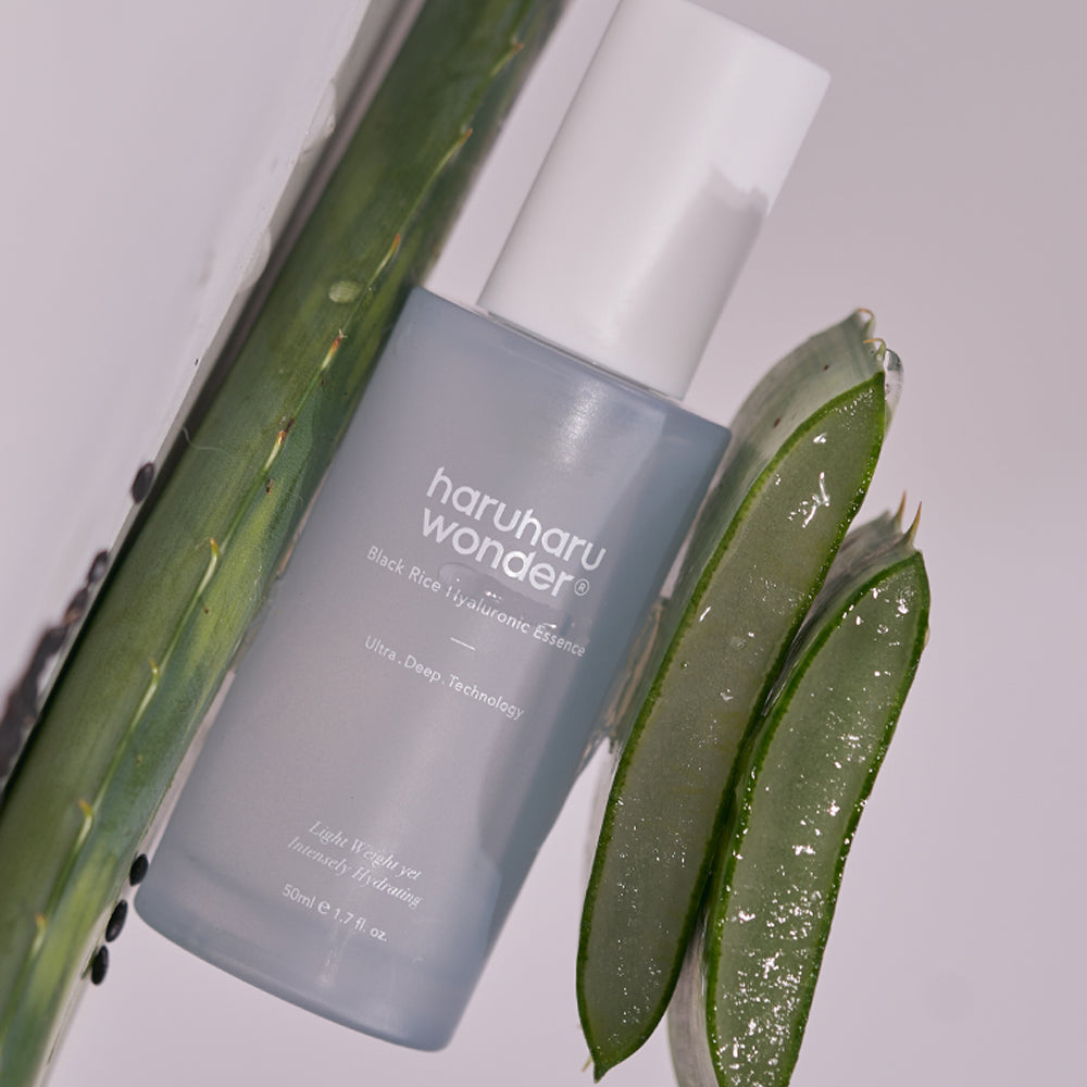 HARU HARU Black Rice Hyaluronic Essence 50ml next to aloe vera
