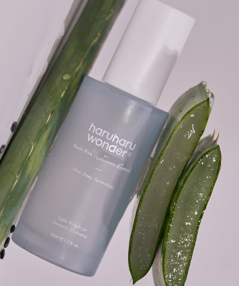 HARU HARU Black Rice Hyaluronic Essence 50ml next to aloe vera