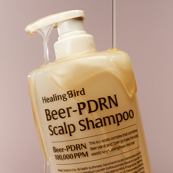 HEALING BIRD Beer PDRN Anti-Hair Loss Shampoo 1000ml bottle with label showing product details