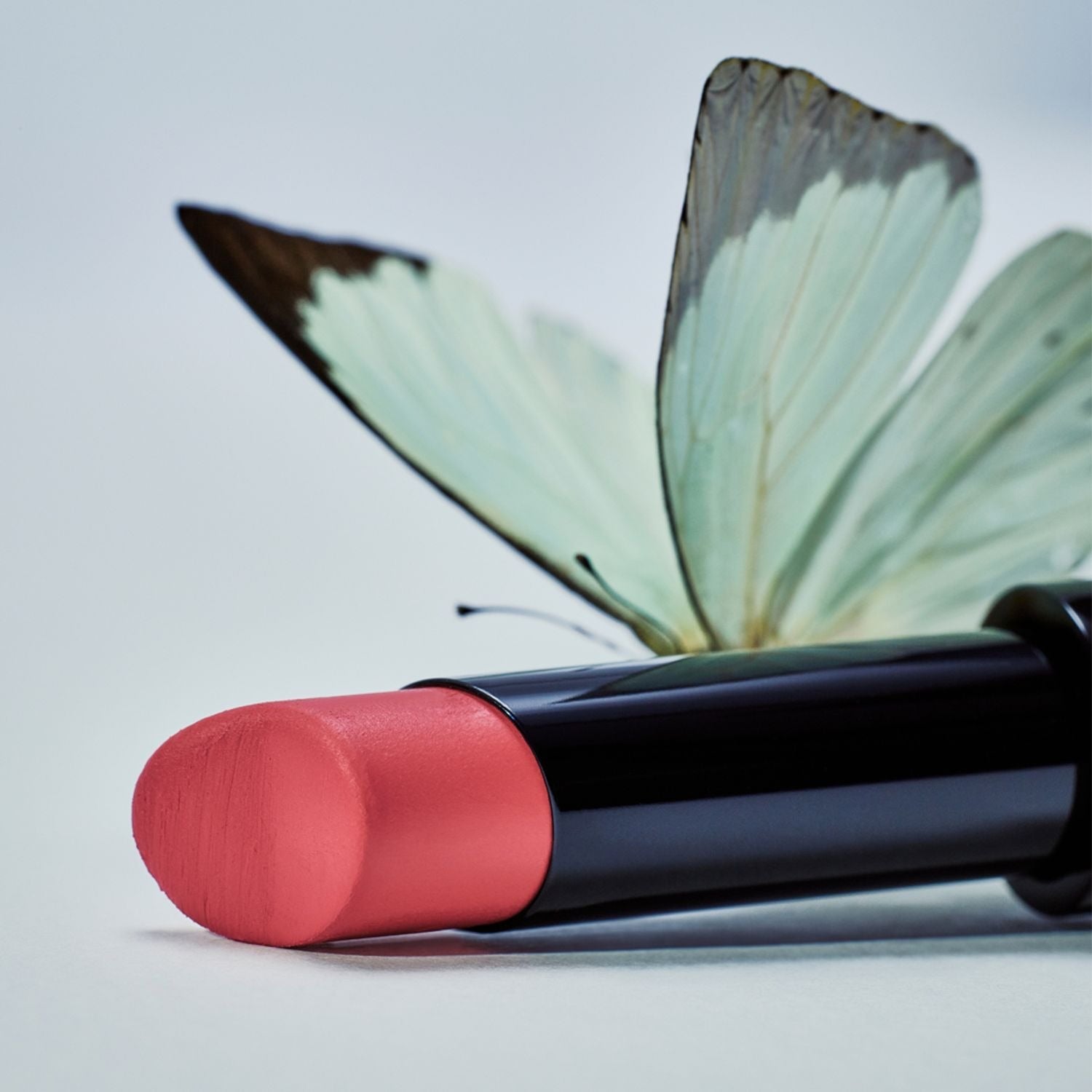 HERA Sensual Powder Matte Lipstick 3g in vivid coral with butterfly detail